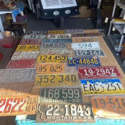 #6562 • 49 License Plates
