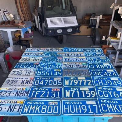 #6576 • 37 License Plates
