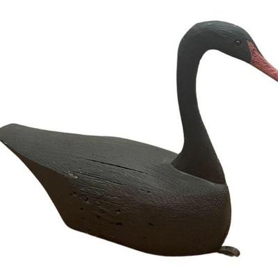 A Carved Wood Black Swan Decoy