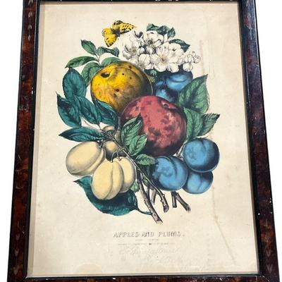 Antique Botanical Apple and Plum Print