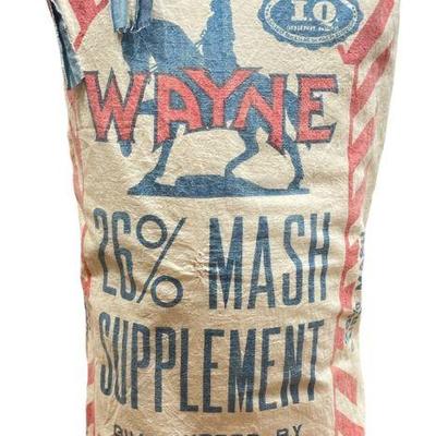 Farmhouse Chic WAYNE Mash Potato Sack Decorative Pillow