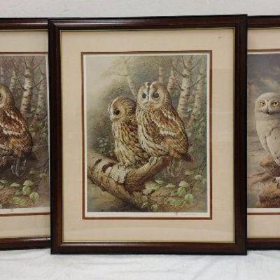 RAYMOND WALTON OWL PRINTS