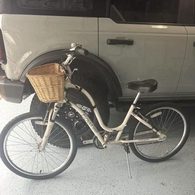 Townie bicycle