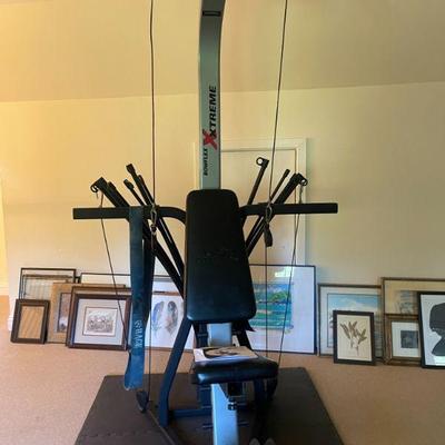 Bowflex Xtreme