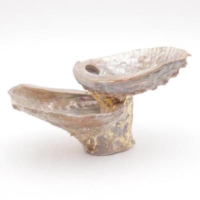 Abalone Shell Pedestal Bowl