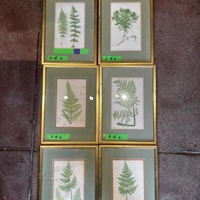 Vintage fern prints 
