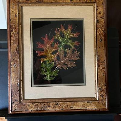 Red Oak Leaves