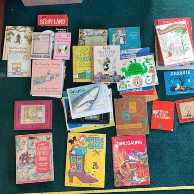 WWW105 Mystery Lot of Children's Books