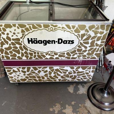 Haagen-Dazs Ice Cream Freezer