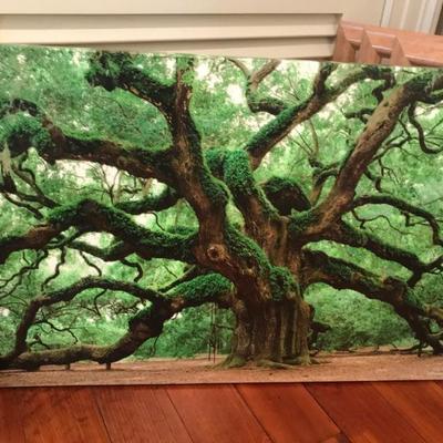 Angel Oak canvas $75
36 X 24"