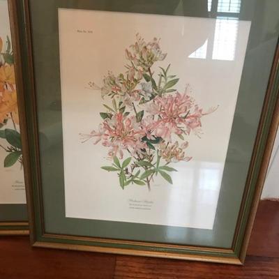 $45
16 X 13"