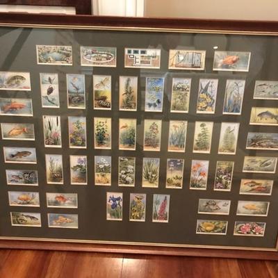 cigarette stamps $52
26 1/2 X 19 1/2"