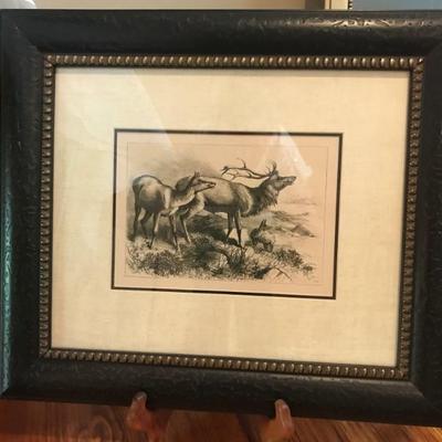Elk's Something in the Wind engraving $125
21 3/4 X 19"