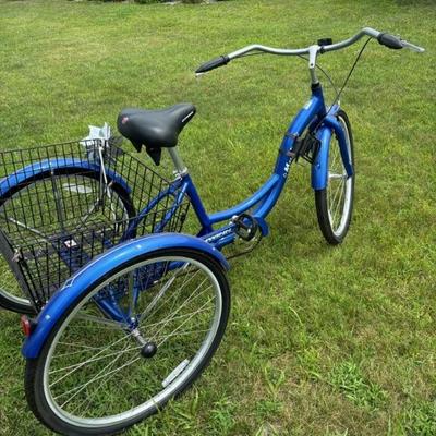 Schwinn Meridian Tricycle Bike