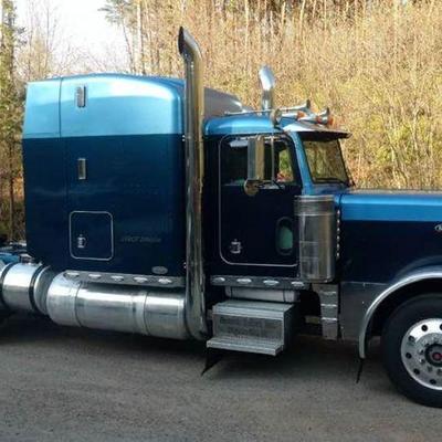 94 Peterbilt  
379 ext hood
13 speed transmission
 3406E CAT engine.
