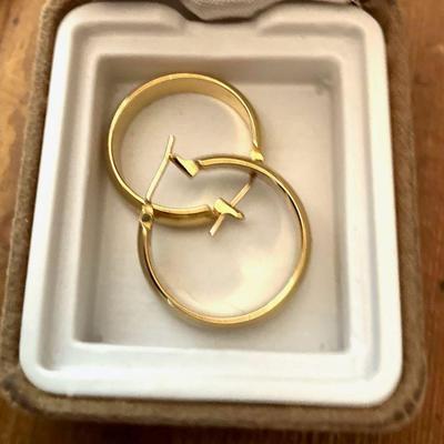 Golden Hoops Pierced Earrings
