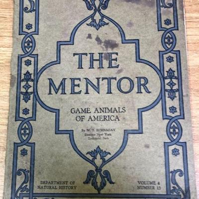 THE MENTOR