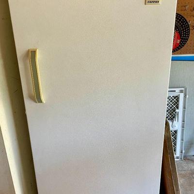 Standing freezer (needs defrosting).
