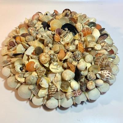 Shell wreath, 16 in. diameter