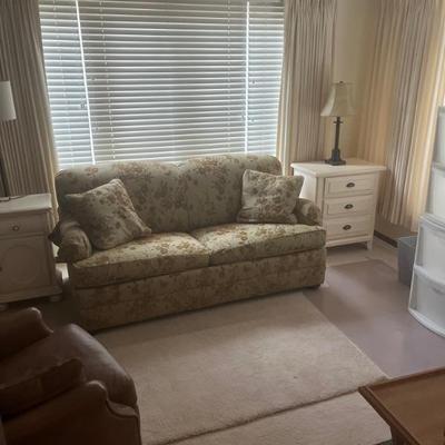 Sleeper Sofa  - Clean 