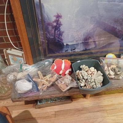 Seashells