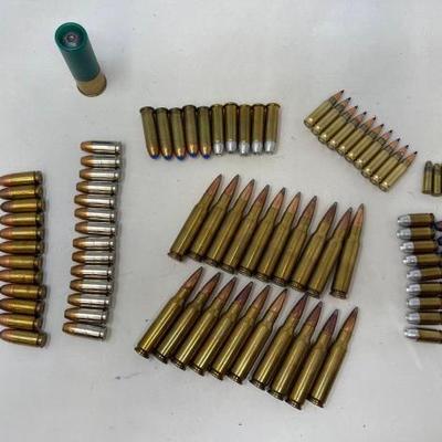 #1304 • (95) Rounds of Misc Ammo

