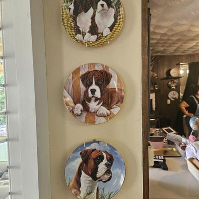 Boxer plates