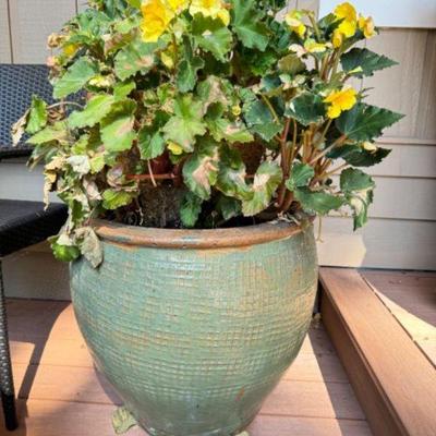 Extra Large Aqua Glazed Pot Collar Planter