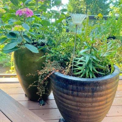 Extra Large Glazed Ceramic Garden Pots w/ Plants	