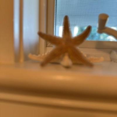 star fish