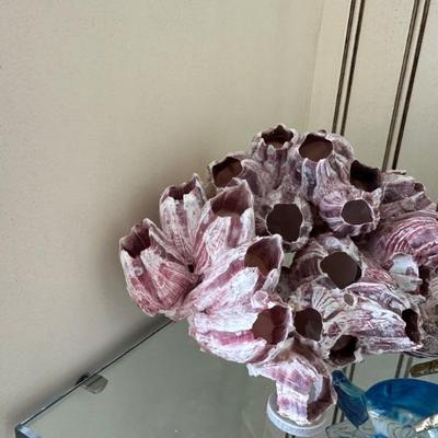 CORAL