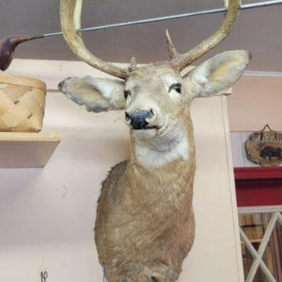 Nice Rack