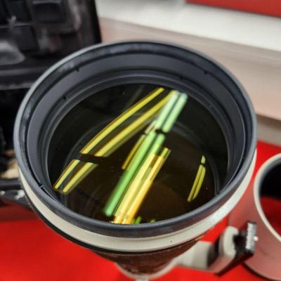 Canon 600mm f4 L IS EF Lens with Hard Case and Camo Sleeve