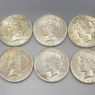 #512 • (6) 1922 & 1923 Silver Peace Dollars

