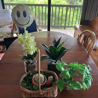 KKF056- Decorative Plants And Baskets