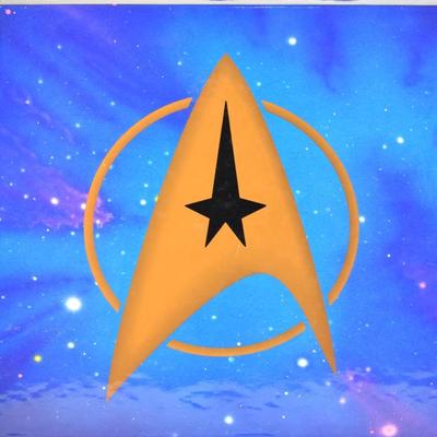 Star Trek: The Movie Voyages Box Set Laserdisc Collection
