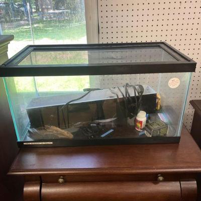 aquarium terrarium 
