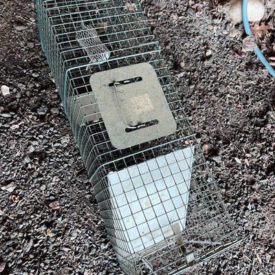 animal trap