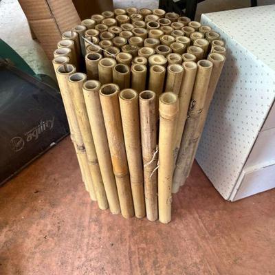 bamboo