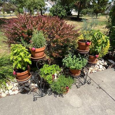 plant stands