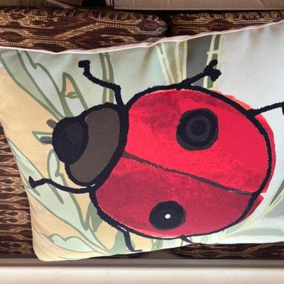 lady bug
