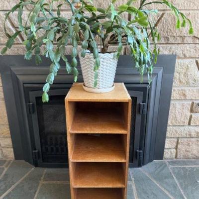 4-Layer Wooden Shelf & Plant Pot	