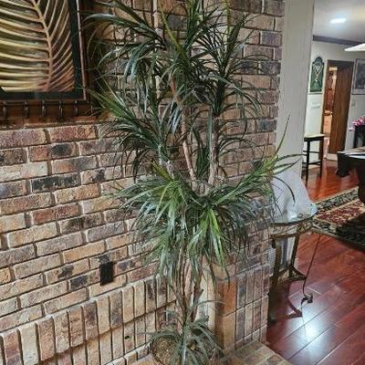 https://auctions4america.proxibid.com/Auctions-4-America/Short-Notice-7-000-Sq-Ft-Tavares-FL-Estate/event-catalog/265058