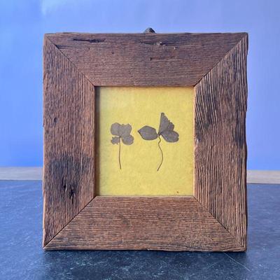 FRAMED FOUR LEAF CLOVERS | l. 9-1/2 x w. 10 in

