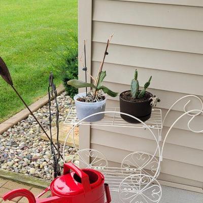 Plant Cart 