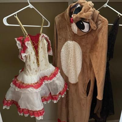 Dozens of holiday and dance costumes. Girls sizes, but a few adult size small