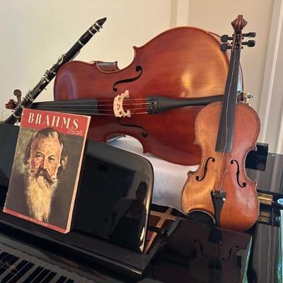 Beautiful musical instruments