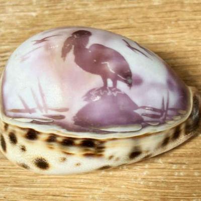 Carved COWRIE SHELL
