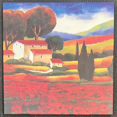 J. Clarke Poppy Field 2005 Canvas Print