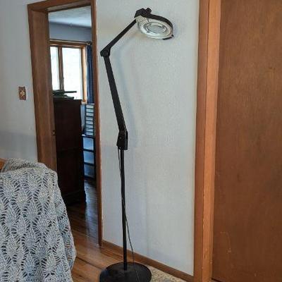 Ott Lite Adjustable Floor Lamp & Clip-On Desk Lamp